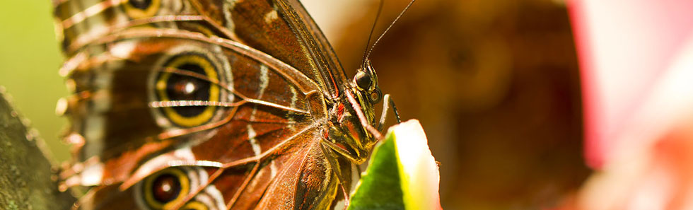 电话轰炸在线免费