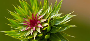 短信轰炸免费在线网站